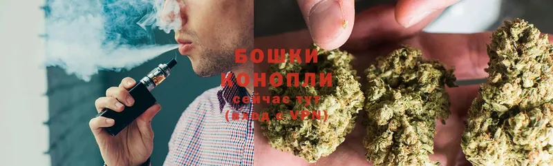 Бошки марихуана THC 21%  наркотики  Верхняя Салда 